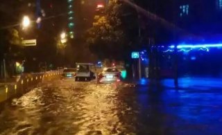 墙体发毛长菌，涂奈克墙衣教你一招制敌！